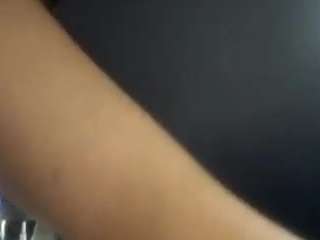 virgovixengal
