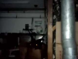virgovixengal