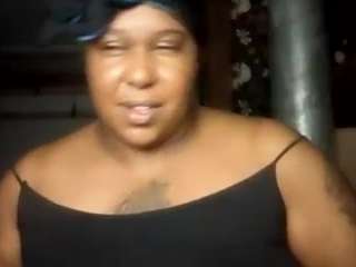 virgovixengal