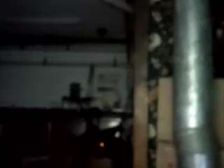 virgovixengal