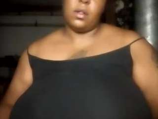 virgovixengal