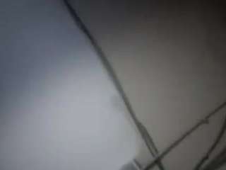 virgovixengal