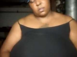 virgovixengal
