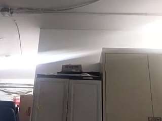 virgovixengal