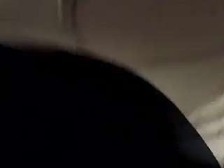 virgovixengal
