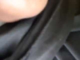 virgovixengal