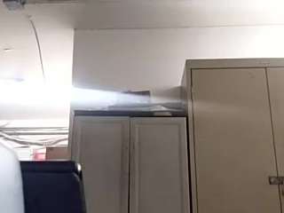 virgovixengal
