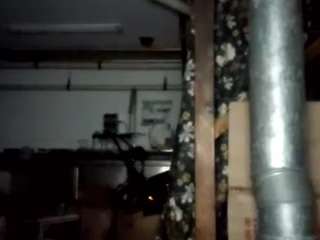virgovixengal