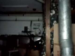 virgovixengal
