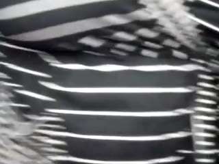 virgovixengal