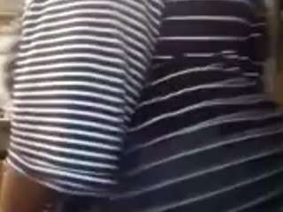 virgovixengal