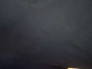 virgovixengal