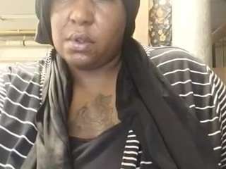 virgovixengal