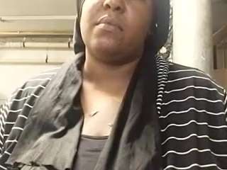 virgovixengal
