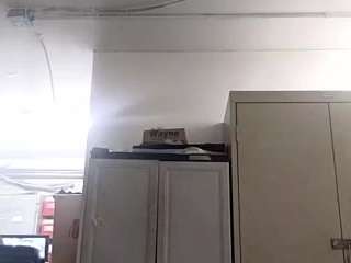virgovixengal