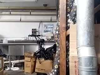 virgovixengal