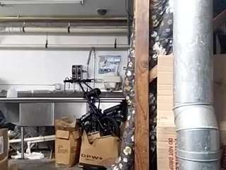 virgovixengal