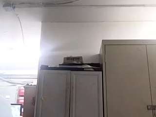 virgovixengal