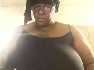virgovixengal