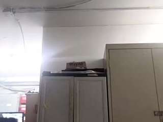 virgovixengal