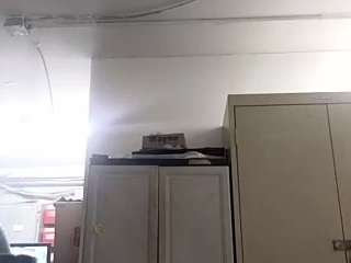 virgovixengal