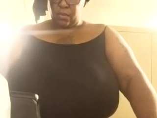 virgovixengal