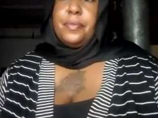 virgovixengal