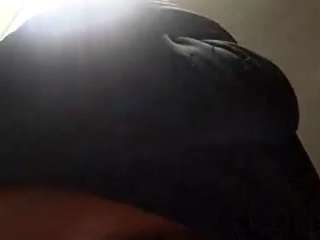 virgovixengal