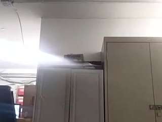 virgovixengal