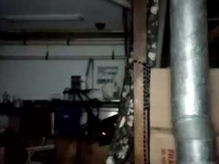 virgovixengal