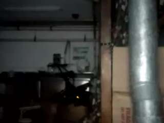 virgovixengal