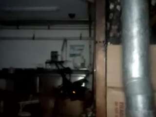 virgovixengal
