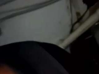 virgovixengal