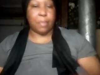 virgovixengal