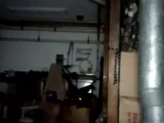 virgovixengal