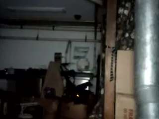 virgovixengal