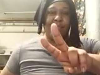 virgovixengal