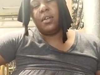 virgovixengal