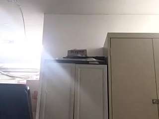 virgovixengal
