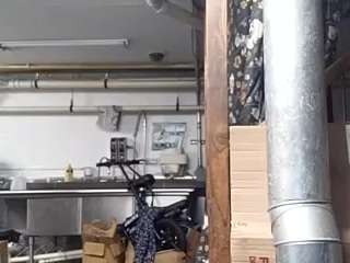 virgovixengal
