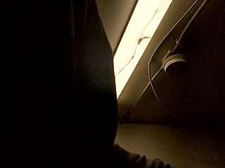 virgovixengal