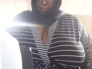 virgovixengal