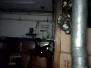 virgovixengal