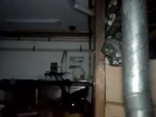 virgovixengal
