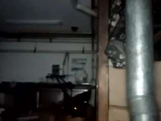 virgovixengal