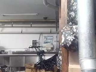 virgovixengal