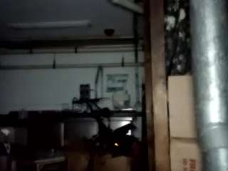 virgovixengal