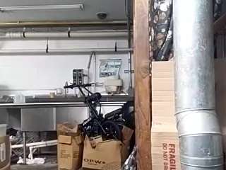 VIRGOADORED live cam preview