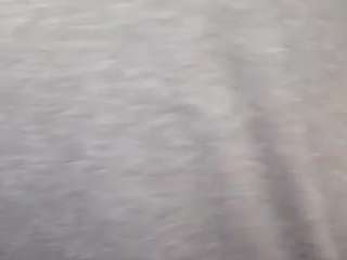 virgovixengal