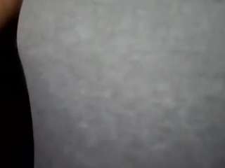 virgovixengal
